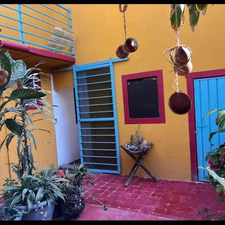 Oaxaca Casa Grey酒店 外观 照片