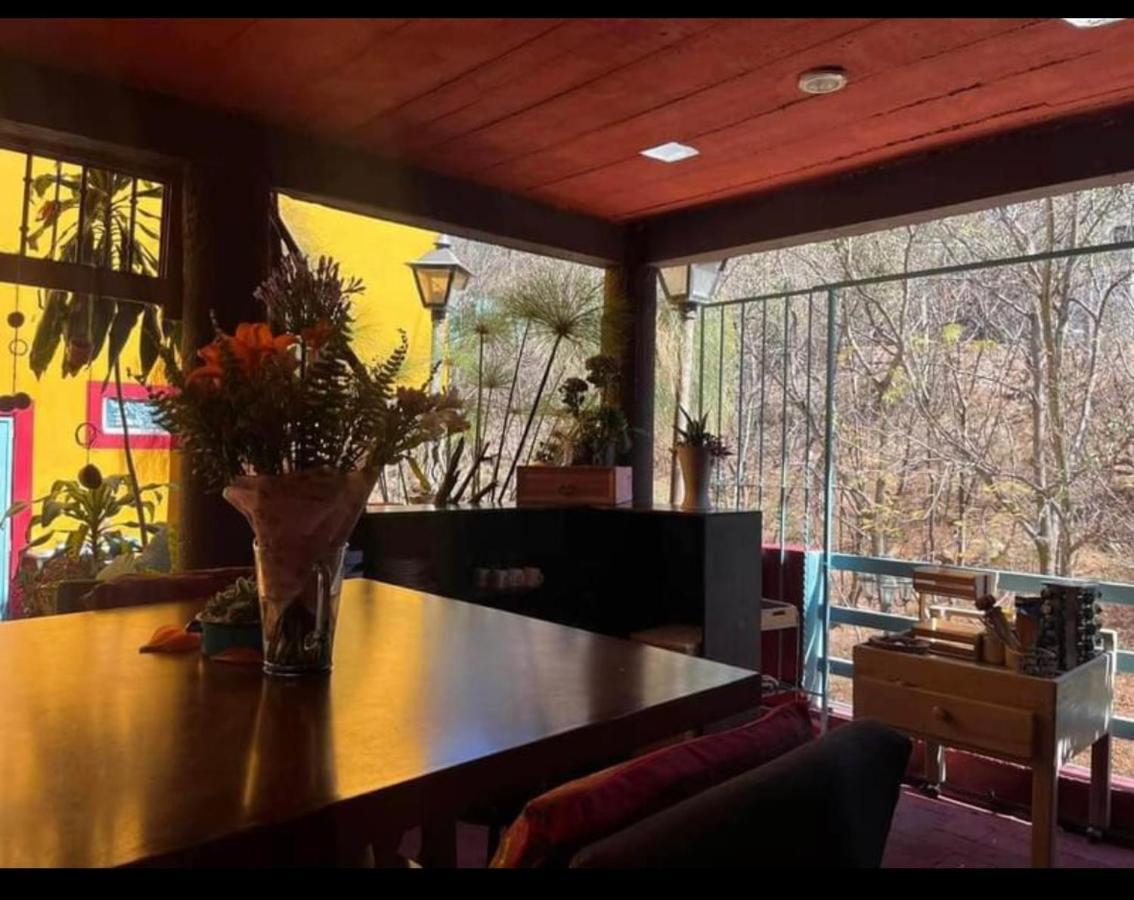Oaxaca Casa Grey酒店 外观 照片