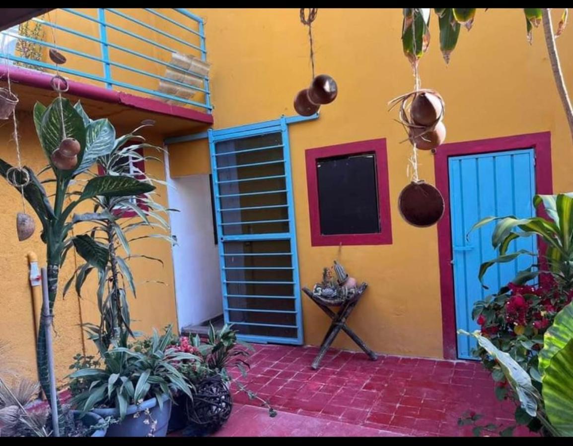 Oaxaca Casa Grey酒店 外观 照片